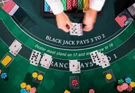 312bet14